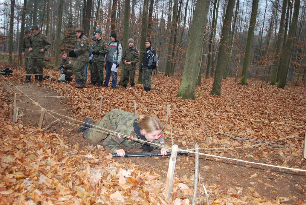 Zum nächsten Bild